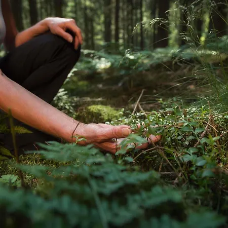 Mercure Domaine De Marlioz &