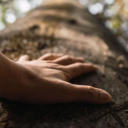 Mercure Domaine De Marlioz & 酒店 艾克斯莱班