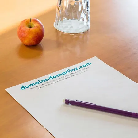 Hotel Mercure Domaine De Marlioz &