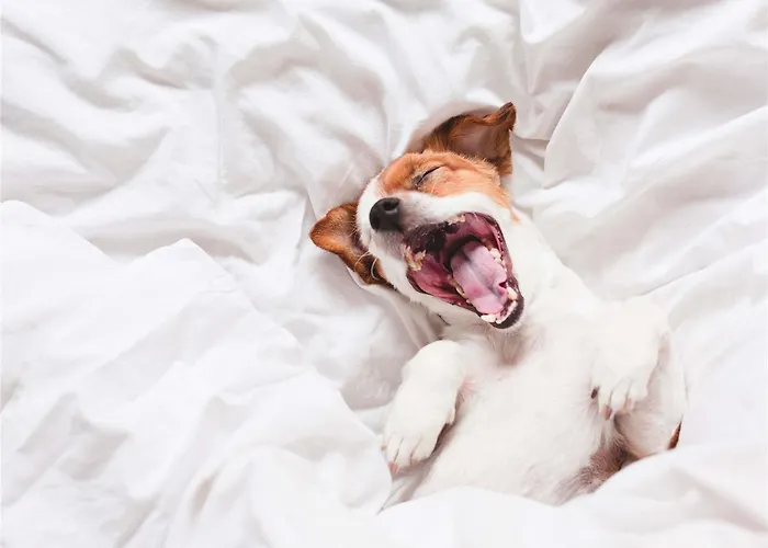 酒店 Mercure Domaine De Marlioz & 艾克斯莱班